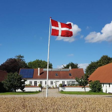 Agermosegaard Lägenhet Assens Exteriör bild